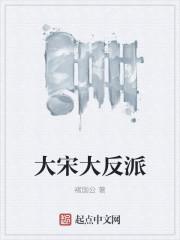 大宋怎么样