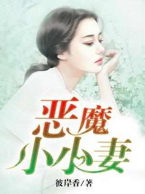 恶魔总裁的小小暖妻
