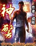 神警叶凡动漫