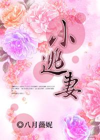 揣崽消失三年