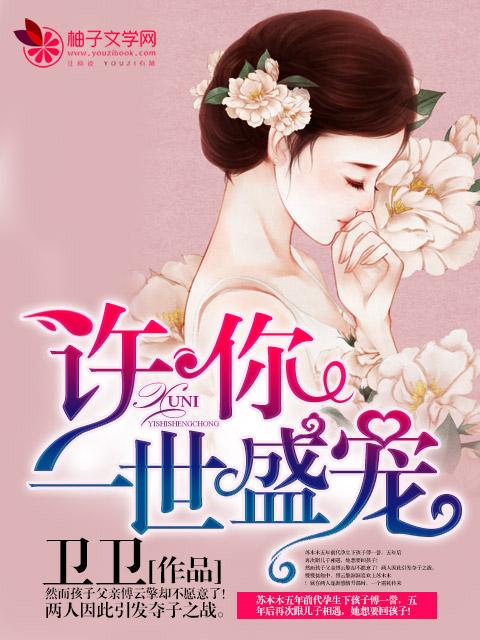 许你一世宠全文免费阅读