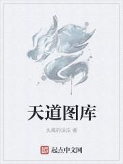 天道图图书馆
