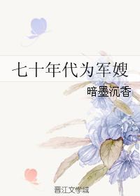 七十年代军嫂剧情