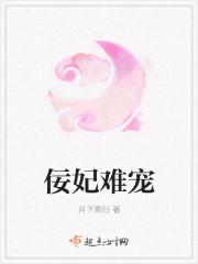 清宫宠妃免费阅读