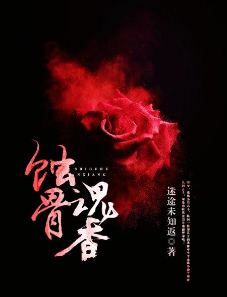 蚀骨销魂作者风过无痕