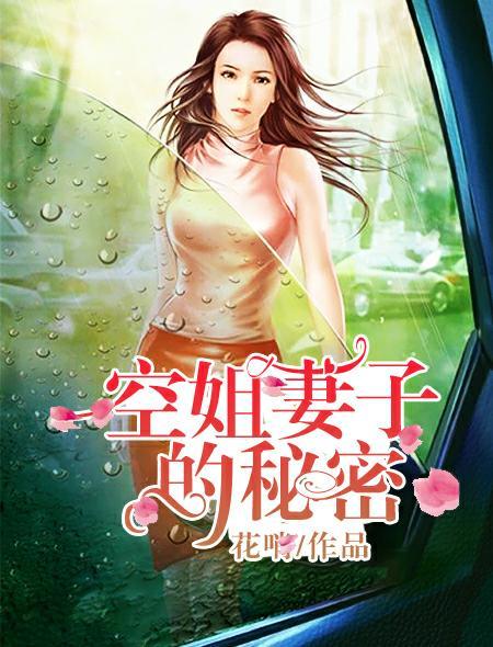 空姐妻子的秘密内容简介