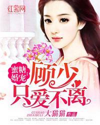蜜糖百分百顾少独宠小甜妻