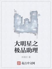 大明星助理