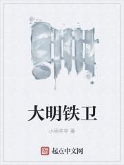大明铁甲