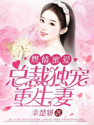 总裁不宠妻