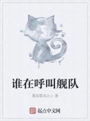 谁在呼叫舰队wiki
