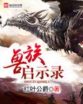 启示录兽是什么级别的