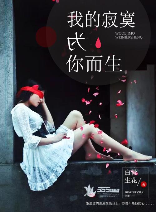 我的寂寞歌词