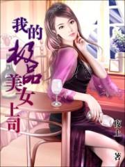 我的绝美上司全文免费阅读