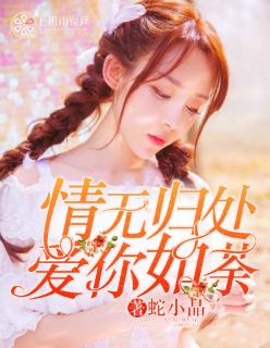 你的情无归