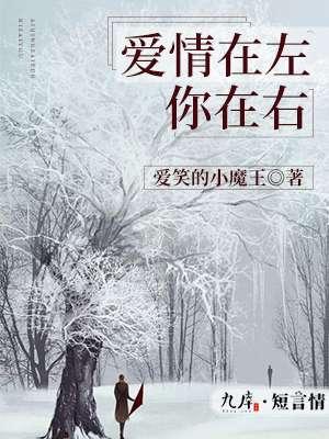 爱在左情在右的意思