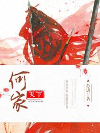何家天下电视剧
