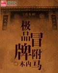 极品驸马免费阅读