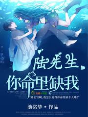 陆先生你命里缺我全文免费阅读苏七