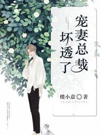 宠妻总裁坏透了共有多少章