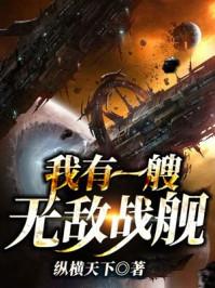 我有一搜无敌战舰txt