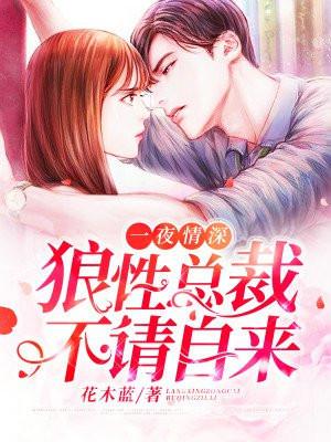一夜深情