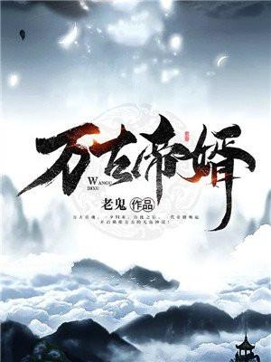 老鬼万古帝婿