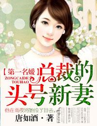 总裁的头号新妻无删减