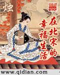在北宋的幸福生活txt