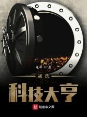 科技圈大佬的妻子