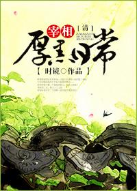 大清宰相厚黑日常 作者时镜
