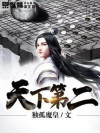 天下第二陵盗墓笔记