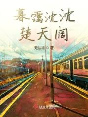 暮霭沉沉楚天阔在哪里