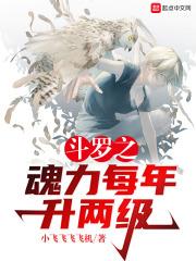 斗罗之魂力每年升两级是多少