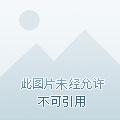 我在全职法师稳健不起来