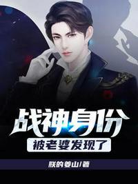 战神陈宁全文免费阅读