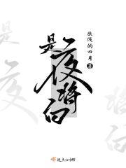 夜将柳白