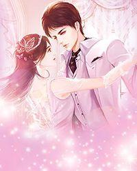 最 佳 上 门 女 婿