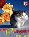 从不回头看爆炸txt