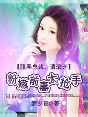 腹黑总裁请妻入怀