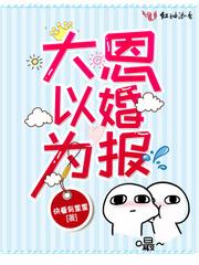 大恩以婚为报免费阅读