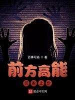 前方高能是什么游戏