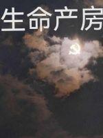 生命zoe