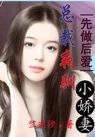 先做后爱狼性总裁夜欢宠