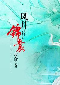 风月锦囊txt资源