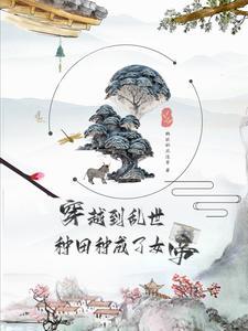 穿越之种田变女王