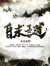 吾求道吾求君无防盗