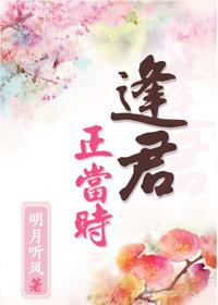 逢君正当时电视剧全集完整版