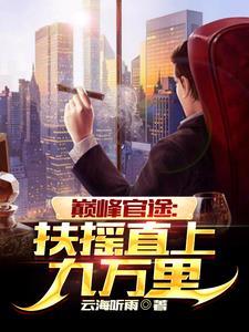 巅峰官路笔趣网