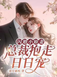 闪婚老公夜夜宠妻